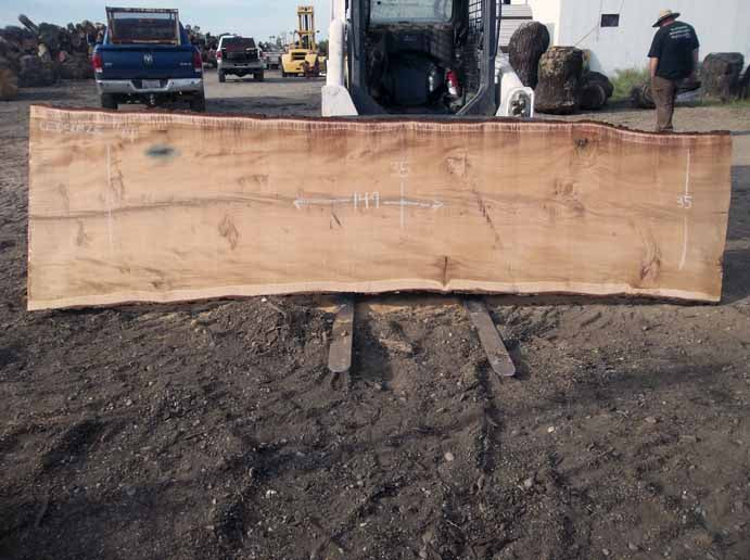 slabs – California Pacific Specialty Woods