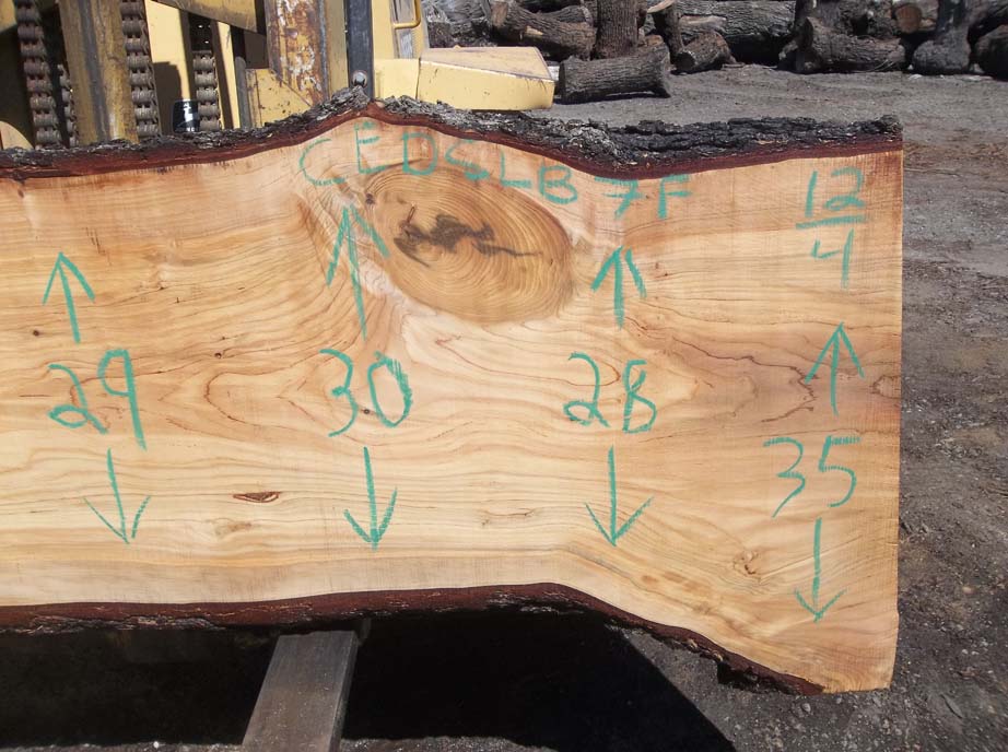 Cedar Slab CEDSLB7F