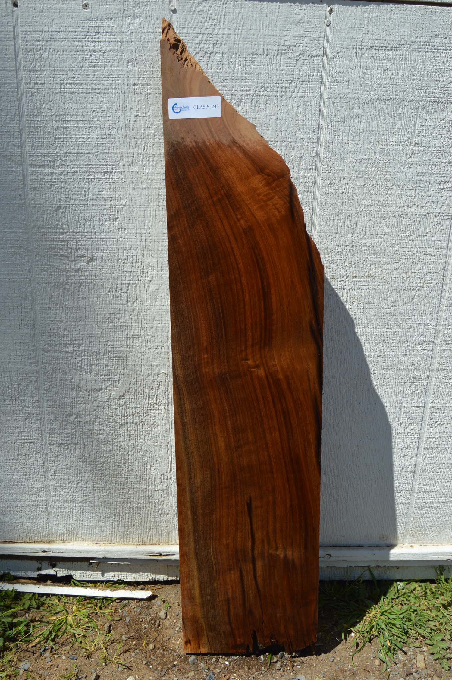 Claro Walnut Specialty Piece CLASPC243