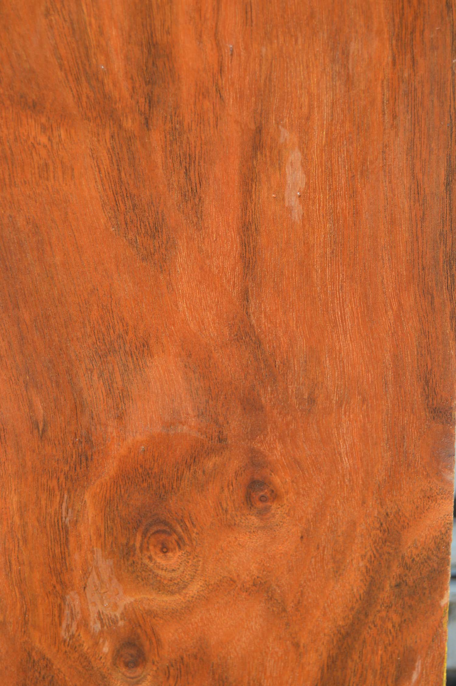 Claro Walnut Lumber WALLMB1B